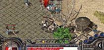 有乐中文网刺客如何修炼烈火剑法
