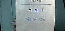 不是筋骨得到黑色恶蛆是血液可以
