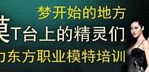 游戏蜂窝简单入手刺客追心刺